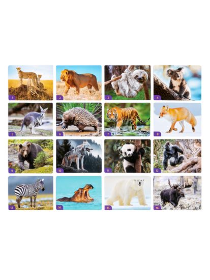 Игра настольная МЕМО "Мир животных" (32 карточки)