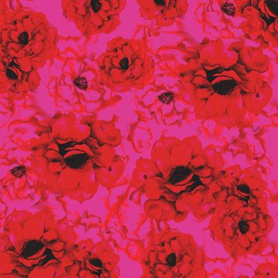 Яркие цветы