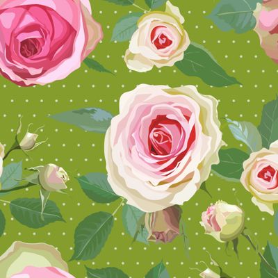 Розовые розы на зеленой фоне