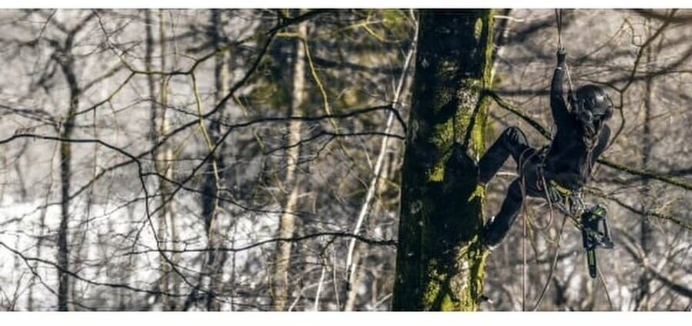 Пила цепная одноручная аккум. GREENWORKS GD40TCS 40В,25см,1/4-1,3-58,б/щ,без АКБ и ЗУ (2003807)