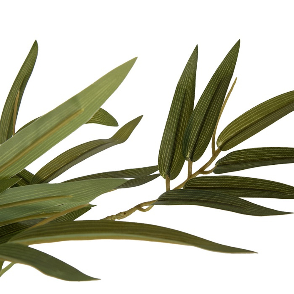 Бамбук в кашпо 35x35x160 см