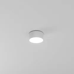 Потолочный светильник Arte Lamp FADO