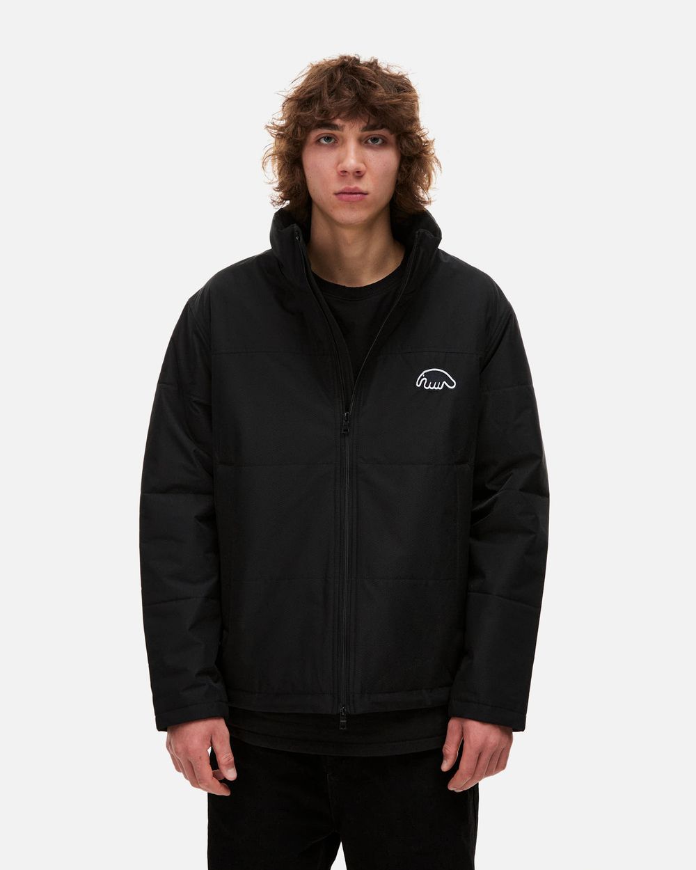 Пуховик Anteater Downlight черный