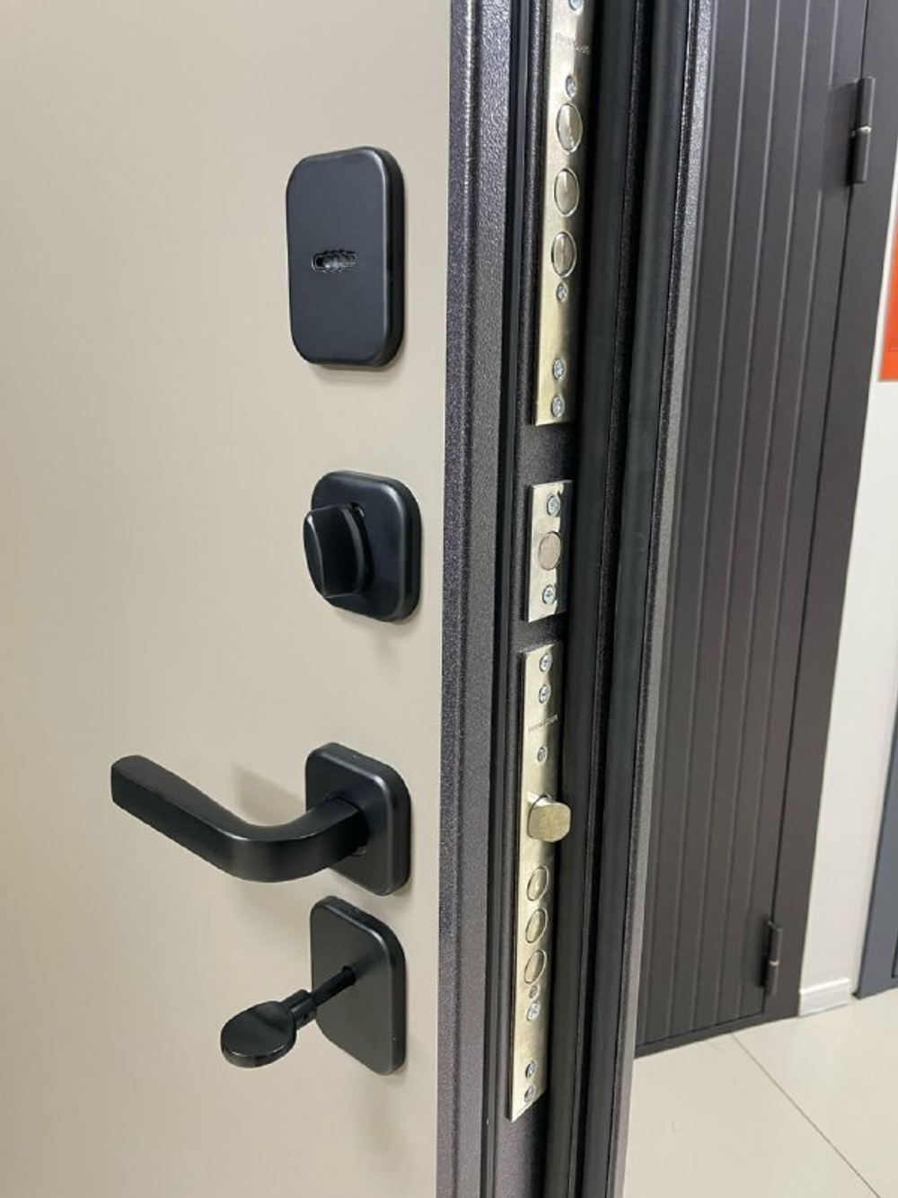 Дверь входная Вильнюс