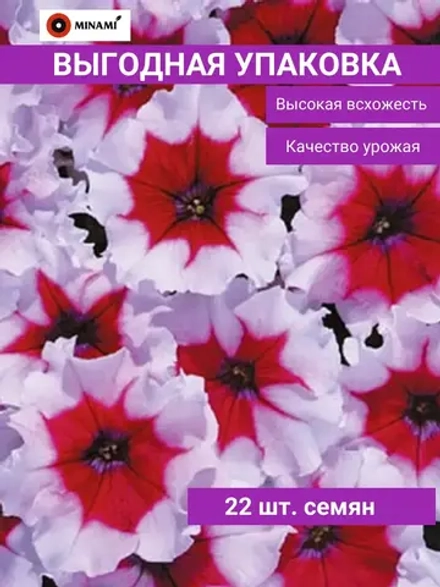 Петуния мультифлора Селебрити F1 Бургунди Фрост