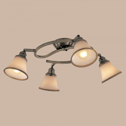 Спот Citilux CL511143