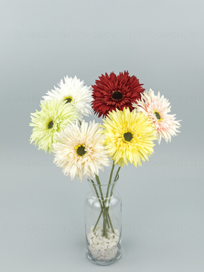 Гербера одиночная