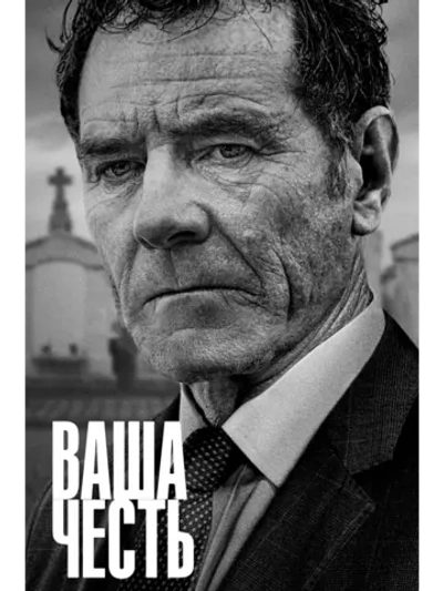 Ваша честь, сезон 1 (DVD-R)