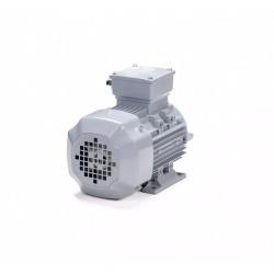 Электродвигатель ESQ PR 80 В2-SDN-Б1-S12-IE2 1,1/3000 IMB3