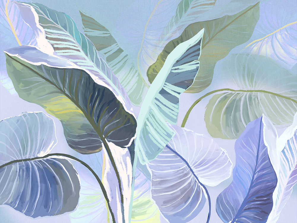 Коллекция SOLO