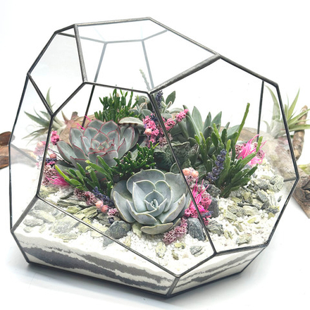 Флорариум с суккулентами “Нежный” Гранат 26х20см