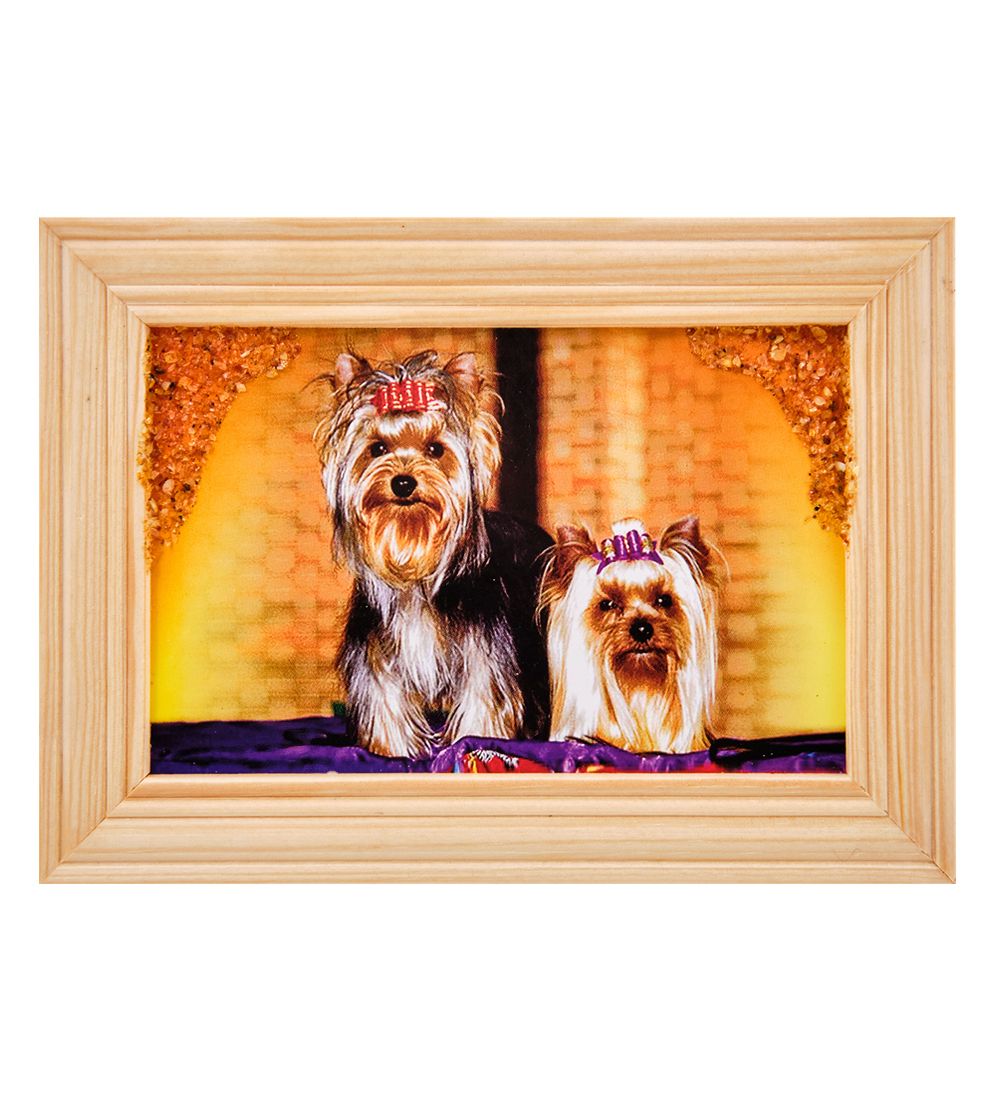 AMB-56/26 Картина «Йоркширские терьеры» (с янтарной крошкой) дер.рамка 8х12