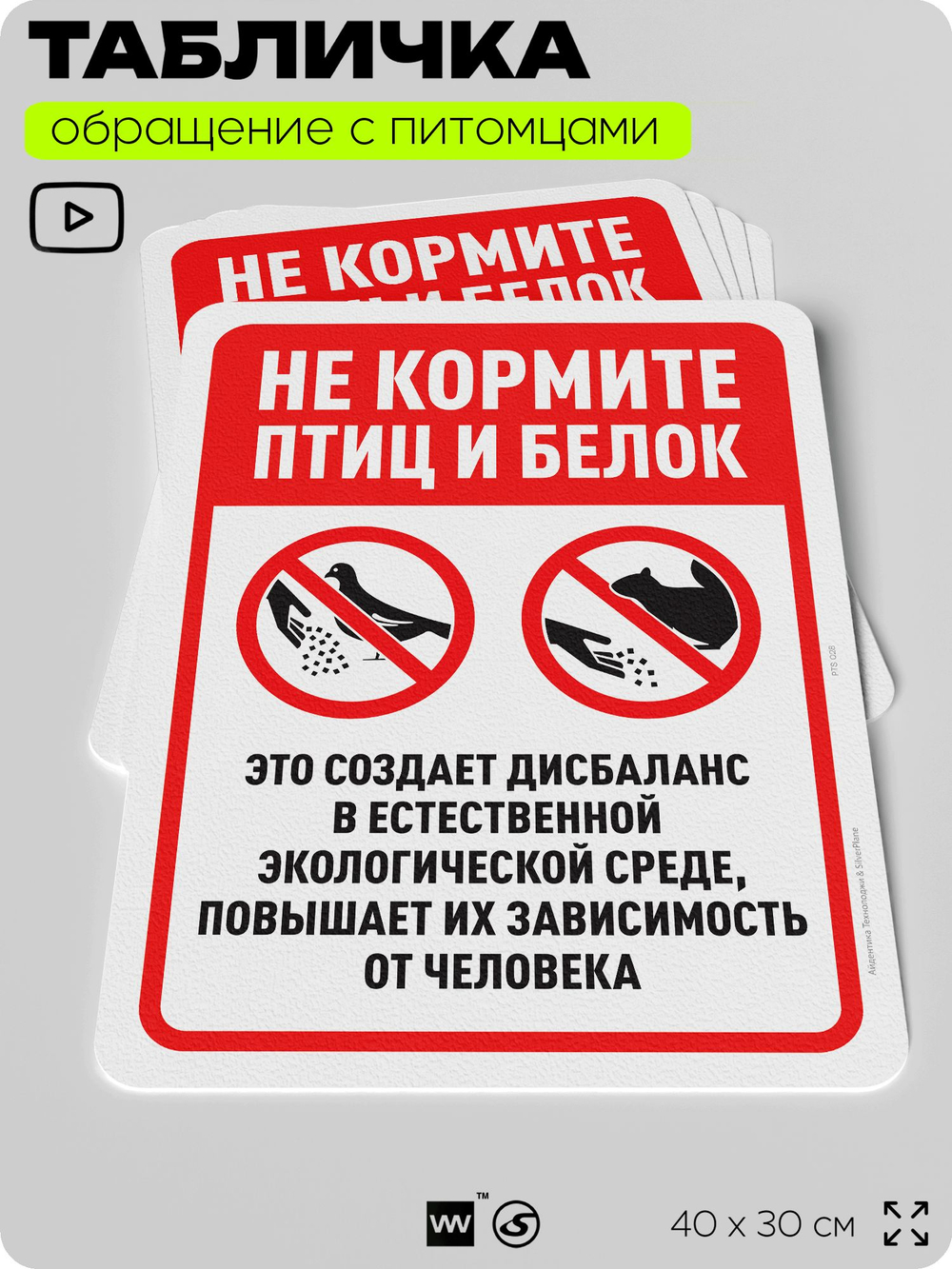 Табличка "Не кормите птиц и белок" на дверь и забор, для двора, дома, подъезда, 40х30 см, Silver Plane x Айдентика Технолоджи