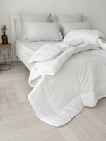 Одеяло DeNASTIA теплое всесезонное с бамбуковым волокном 400gsm 170x205 ПЭ+бамбук белый