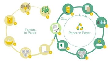 Бумага из вторсырья: можно ли её потом сдать в макулатуру?