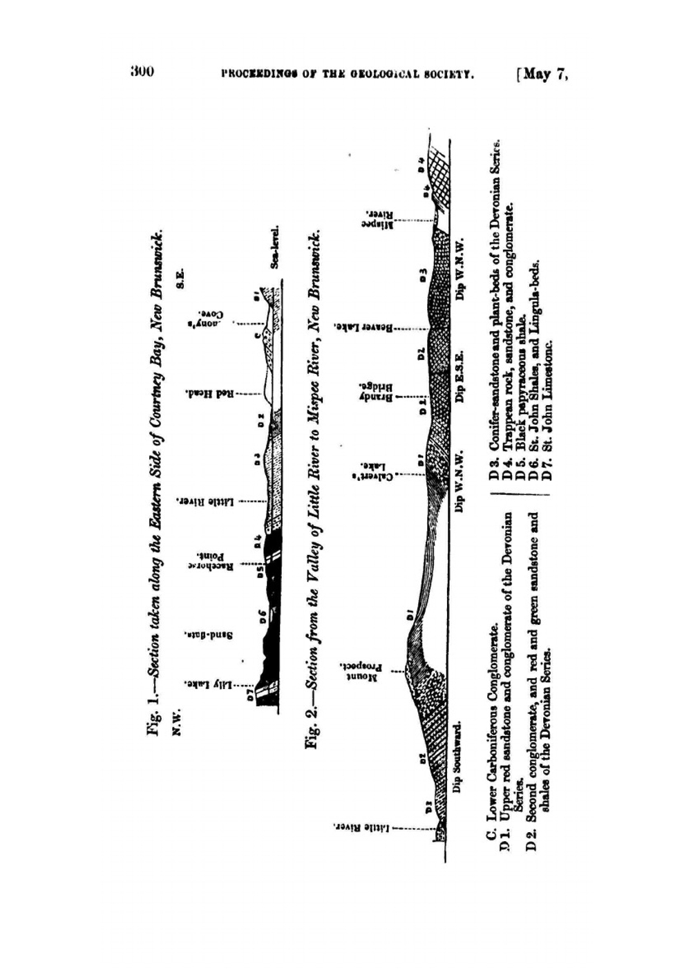 On the flora of the Devonian period in north-eastern America microform | J.W. Dawson