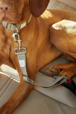 ZARA HOME АВТОМОБИЛЬНЫЙ РЕМЕНЬ БЕЗОПАСНОСТИ ДЛЯ ДОМАШНИХ ЖИВОТНЫХ, ХАКИ