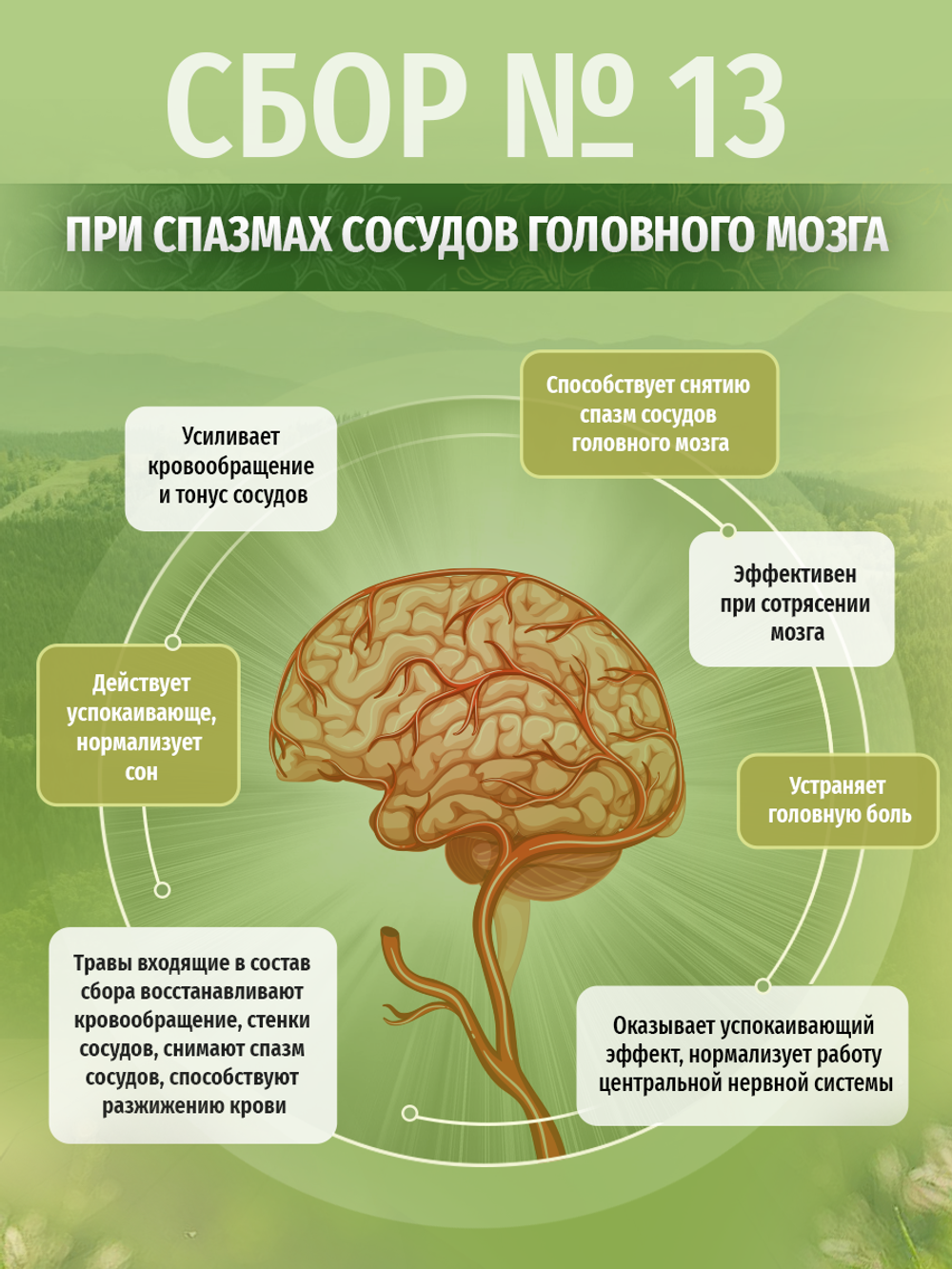 Сбор № 13 При спазмах сосудов головного мозга