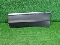 Накладка двери задняя левая VW Tiguan 2 (16-нв)