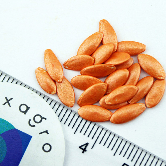 МОНОЛИТ F1 семена огурца Nunhems описание – фото 6