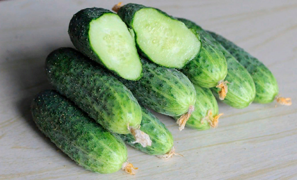 Огурец Беттина F1 7шт Мировые Семена VITA GREEN