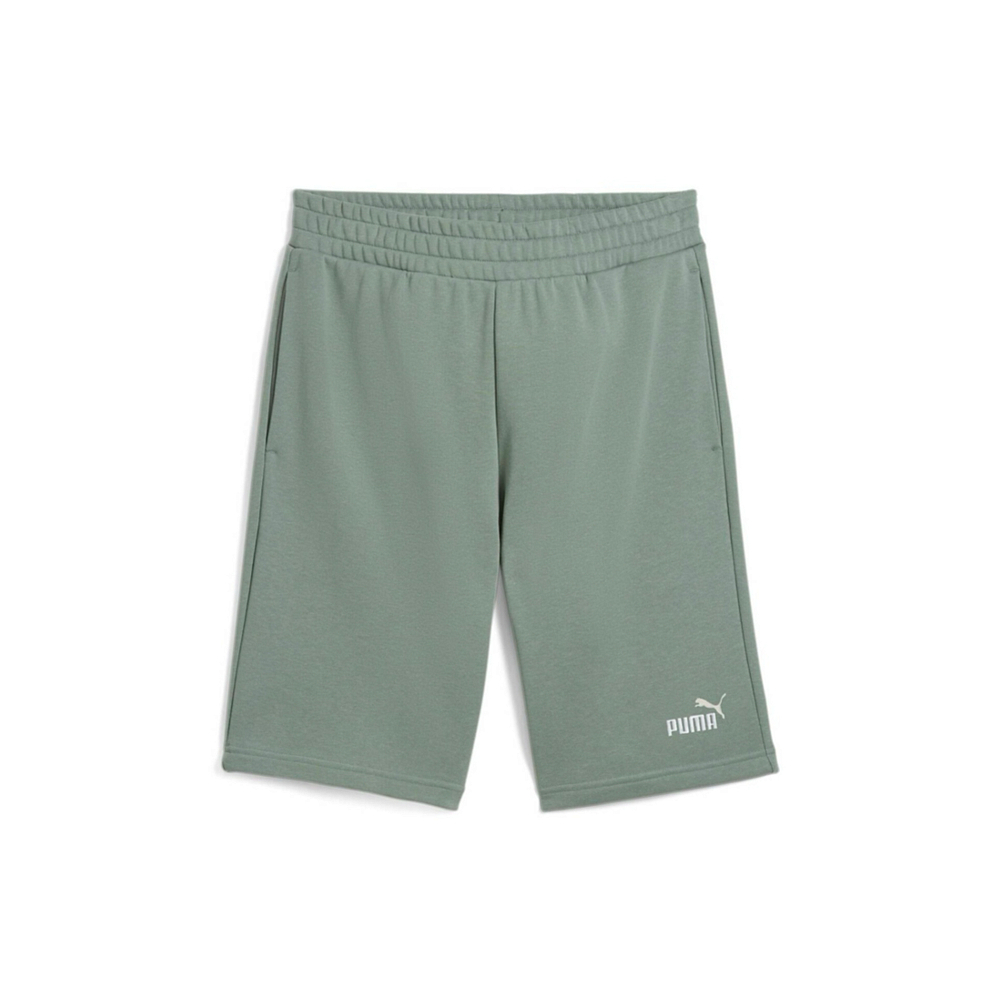 Мужские шорты PUMA ESS 2 COLOR Logo Shorts