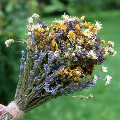 Букет сухоцветов Цветочный луг 30х20 см