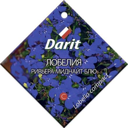 Лобелия Ривьера Миднайт Блю, семена Дарит 10шт (100)