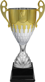 Кубок Флинт