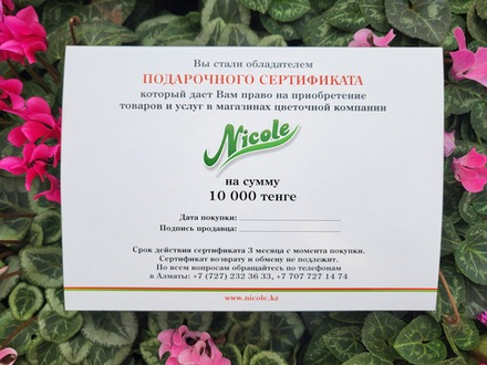 Подарочный сертификат на 10 000 тг