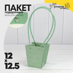 Пакет подарочный 12.5х12х8см Ваза для цветов "Квадраты" (Зеленый)