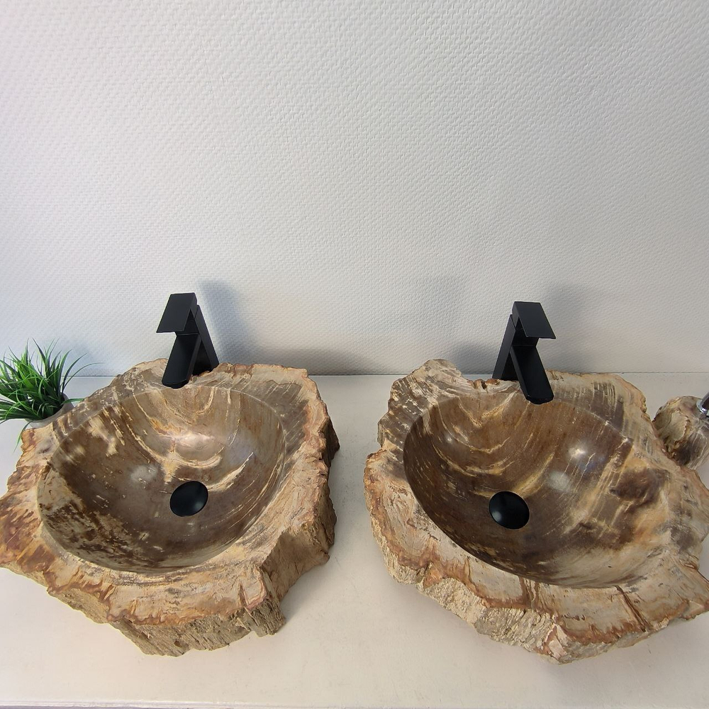 Раковина из окаменелого дерева ПАРА! OD-66073 52*45*15 из натурального камня