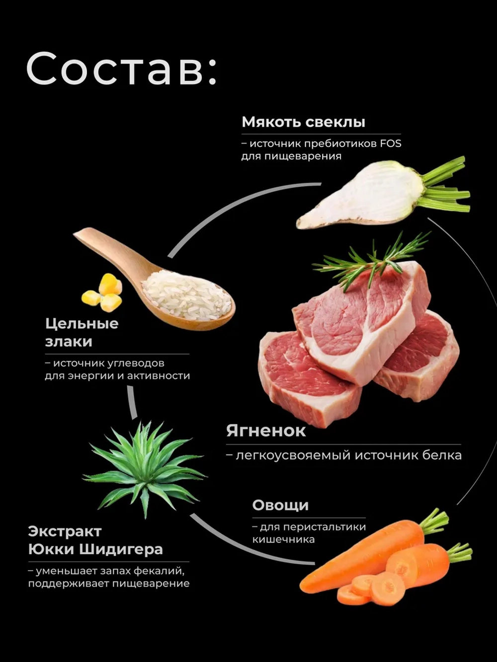 Корм для котят породы Сингапурская, с ягненком, 2 кг