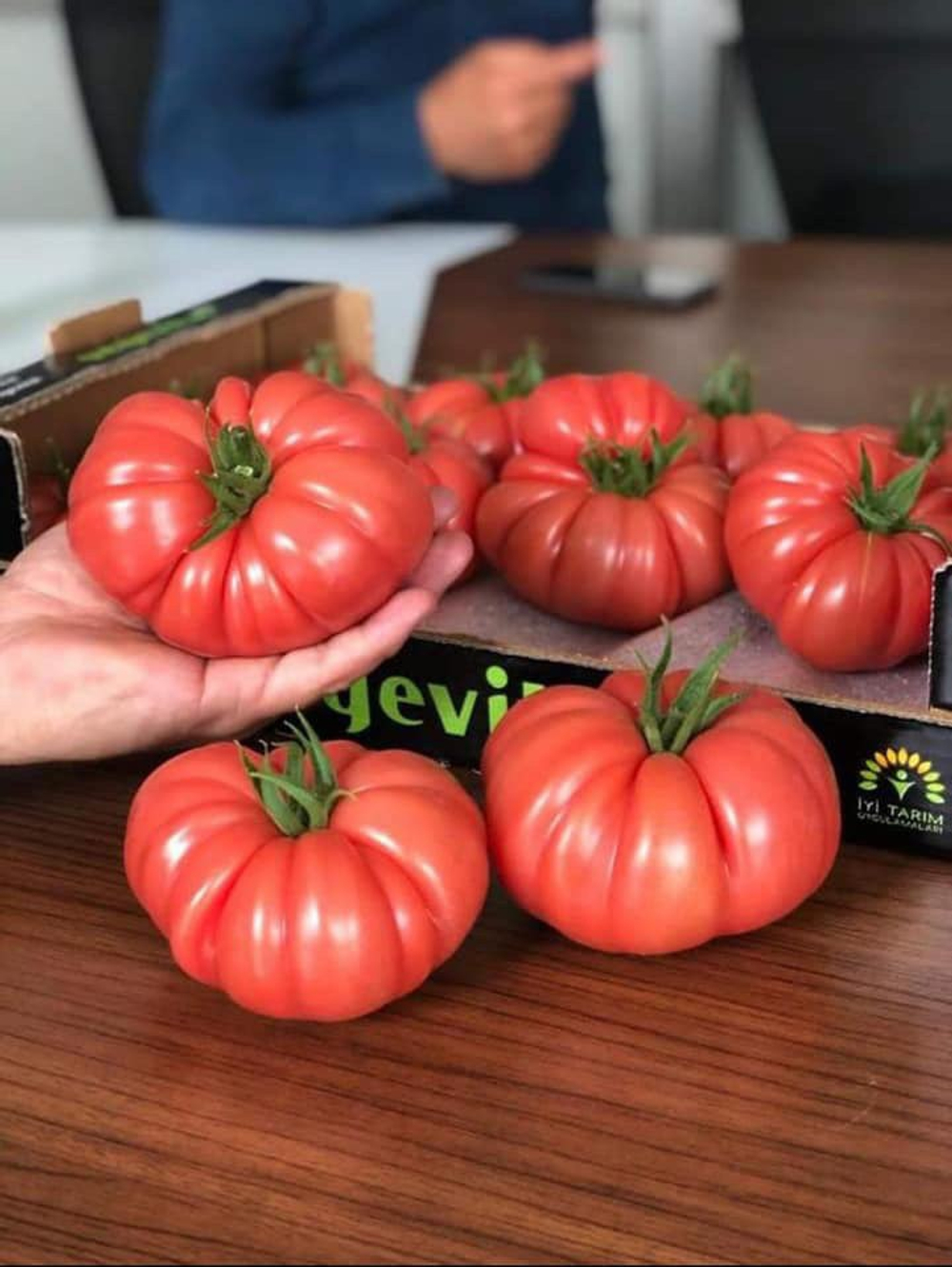 Пинк Кой F1 семена томата индетерминантного ( Yuksel Tohum / )