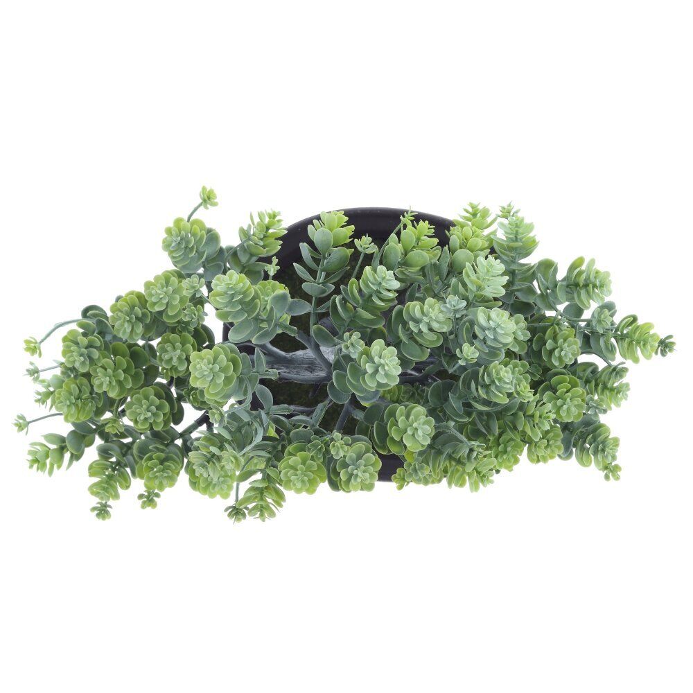 GAEM Цветочная композиция "Бонсай", L24 W14 H26 см