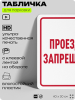 Табличка для парковки "Проезд запрещен", для дома, офиса, организаций, 40х30 см, Silver Plane x Айдентика Технолоджи