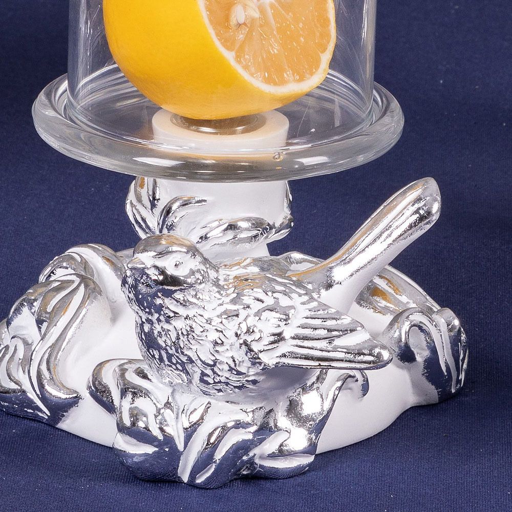 Лимонница Белла Белая