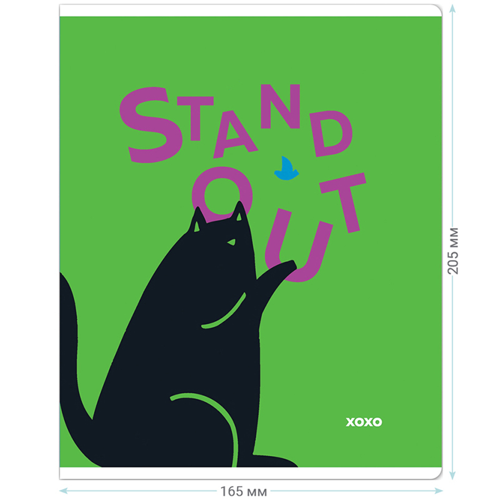 Тетрадь общая MESHU "Сhatty cat", А5, 48 листов в клетку, матовая ламинация, выб. лак, на скрепке