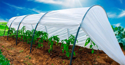 Укрывной материал PRIVAL  (АгроСпанбондСУФ-42 2,1х10м)