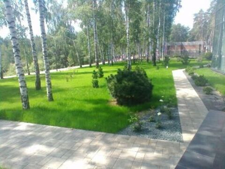 Посев газона