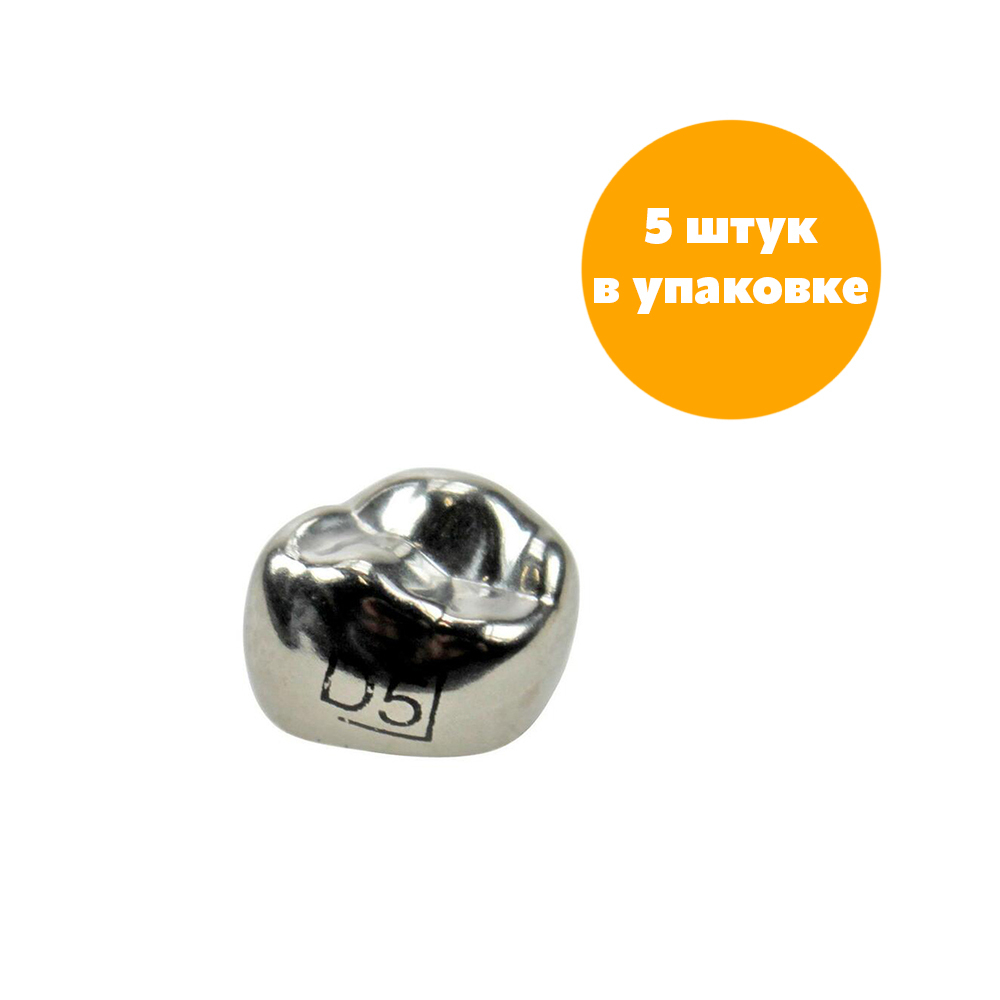 Первый верхний правый моляр, размер 5 (D-UR-5)