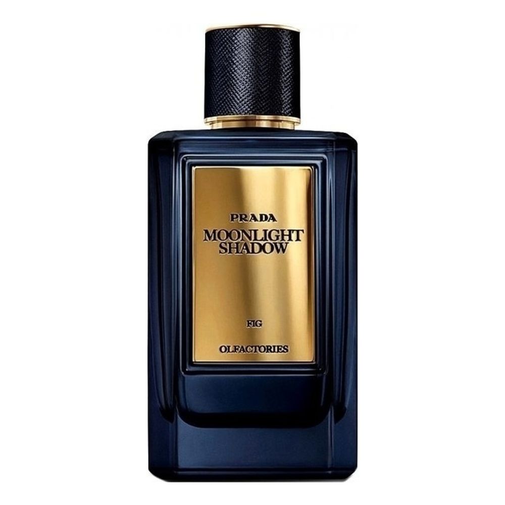 Prada Moonlight shadow