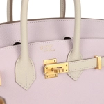 Сумка по индивидуальному заказу Hermès Birkin с матовой золотой фурнитурой Hermès Special Order Birkin