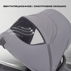 Детская коляска Rant Flex 2 в 1 RA076 Graphite