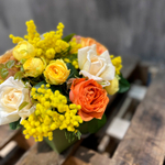 1 марта ☀️ композиция Весенний водоворот — садовые и ароматные розы и душистая пушистая мимоза — Ø ~ 25 см — в коробке