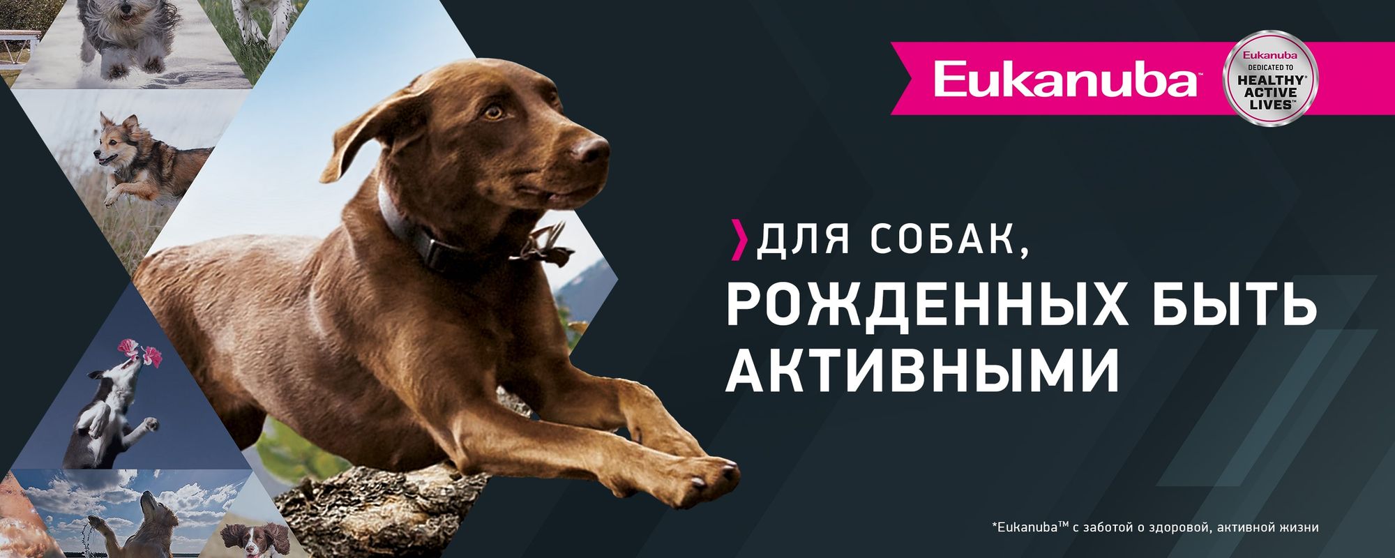 Баннеры Блок 5