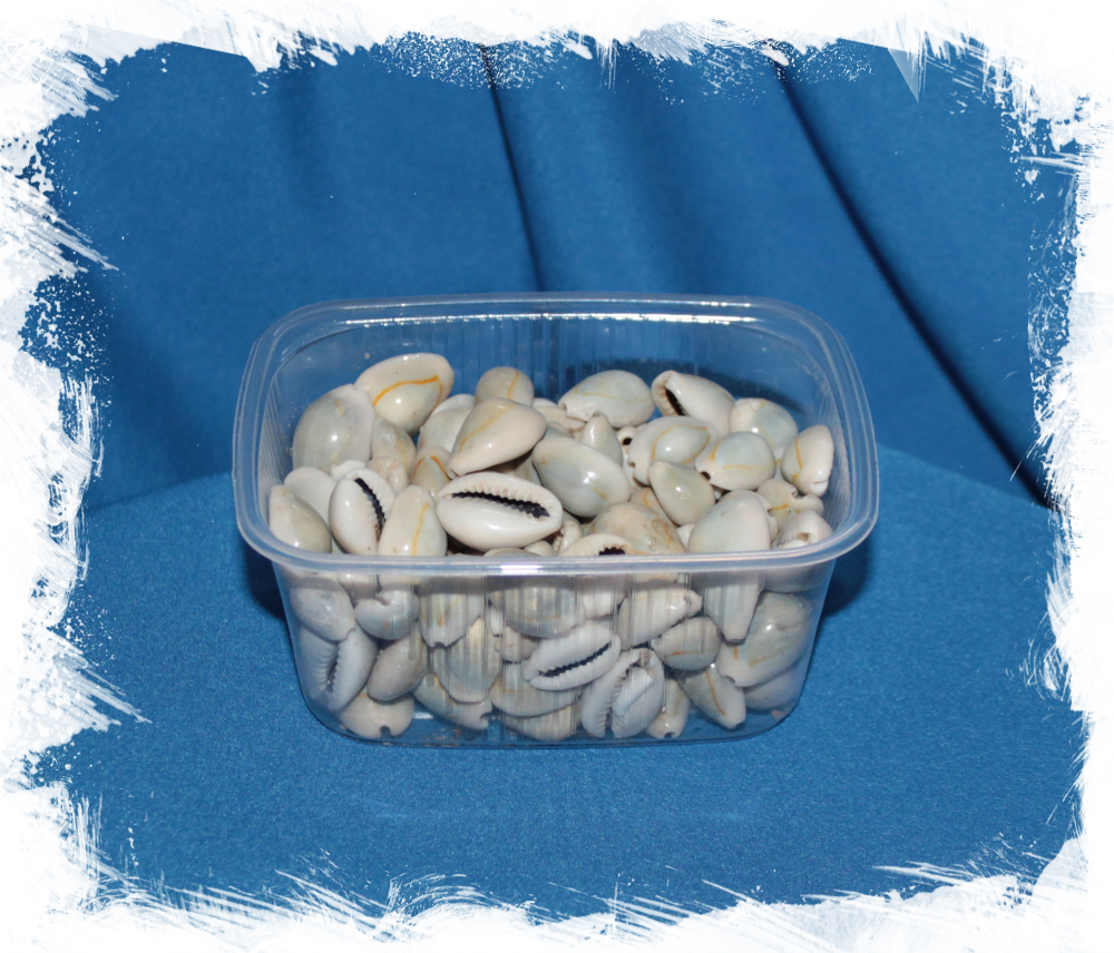 Каури золотое кольцо