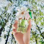 Marc Jacobs Daisy Wild EDP