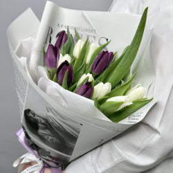 15 тюльпанов микс в стильной упаковке