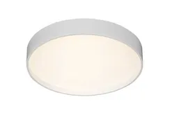 2541/600 WHITE (1) Потолочный светильник (RL)